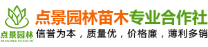 临澧县点景园林苗木专业合作社_临澧点景园林苗木|点景园林苗木|点景树